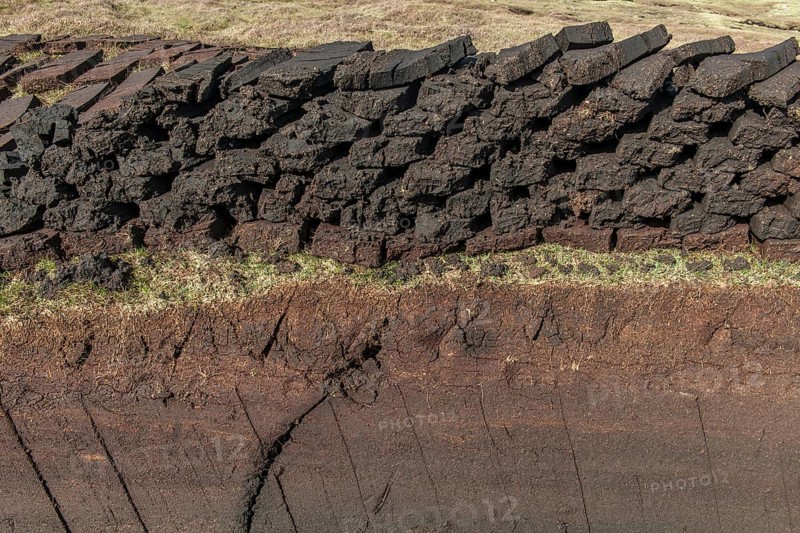 Cut peat on a peat bog