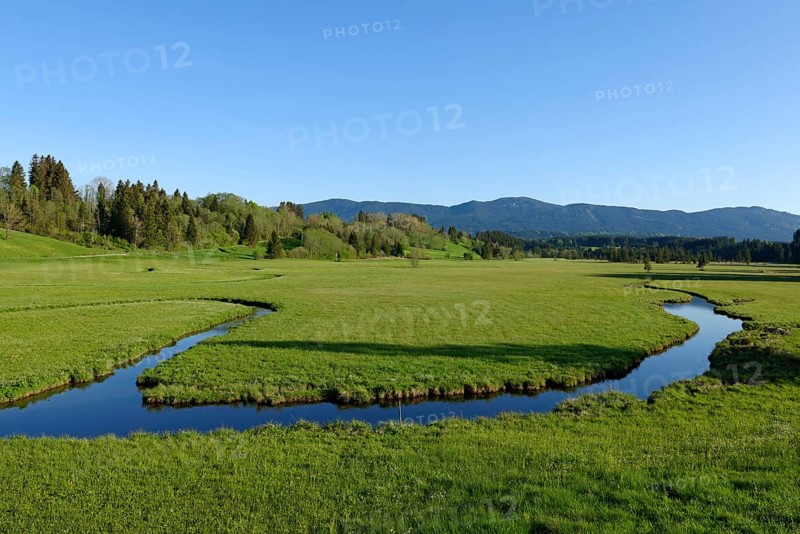 Moore um die Wies Nature Reserve