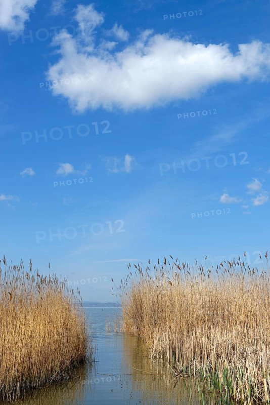 Lakeshore between Podersdorf and Weiden am See