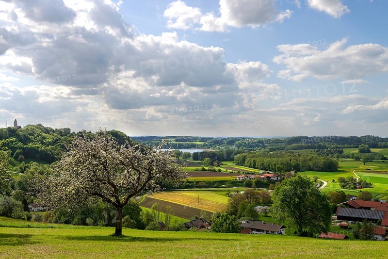 Simssee and Thalkirchen