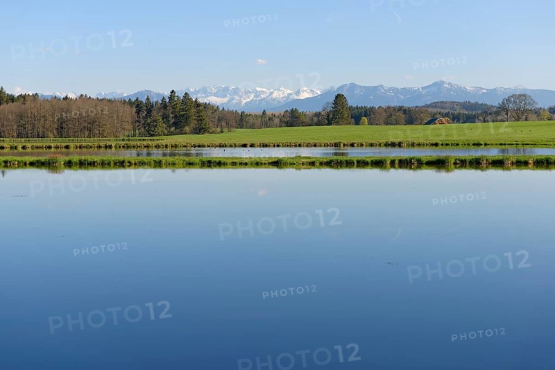 Fishponds at Nussberger Weiher