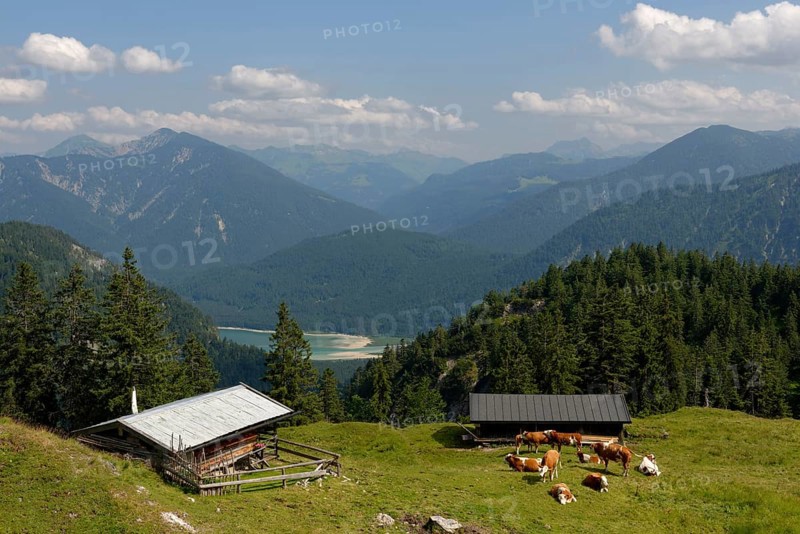 Mountain lodge Hochleger am Staffel