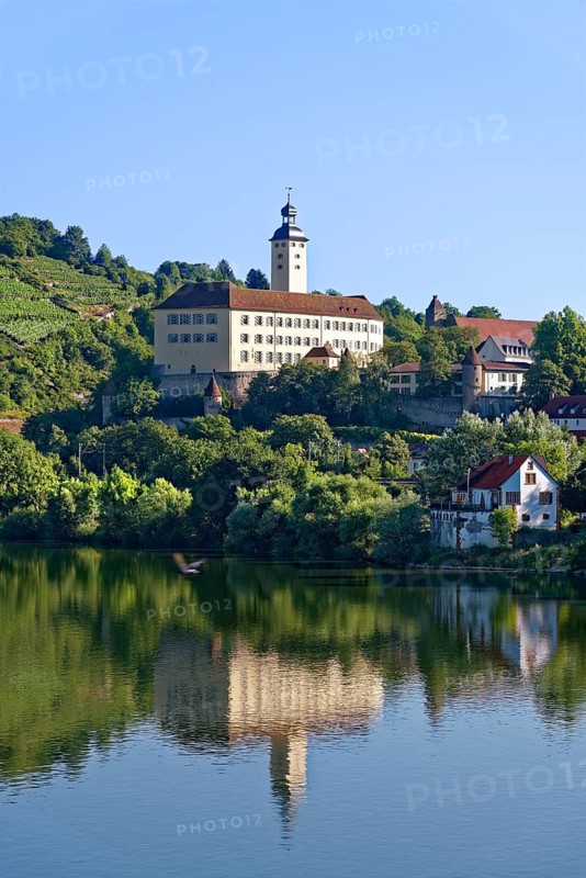 Horneck Castle on the Neckar river