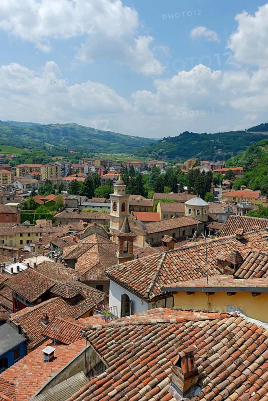 Canelli