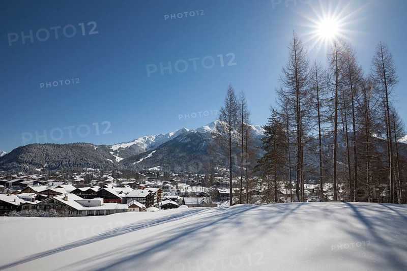 Winter landscape