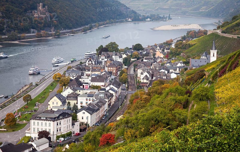 View of Assmannshausen and the Rhine Valley