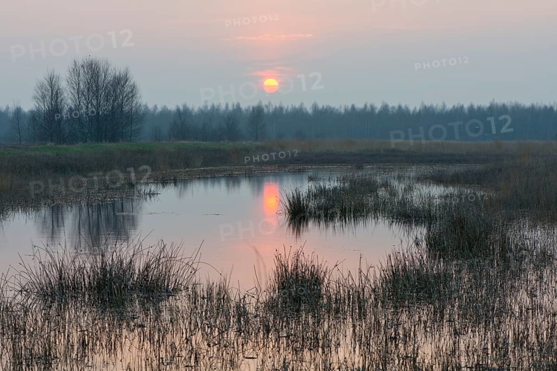 Sunset in the re-waterlogging area