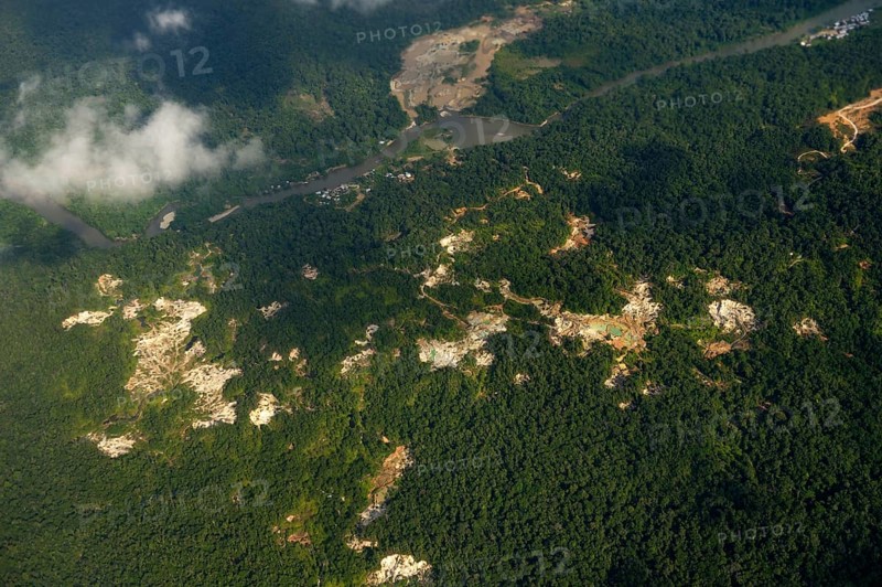 Illegal gold mines in rainforest