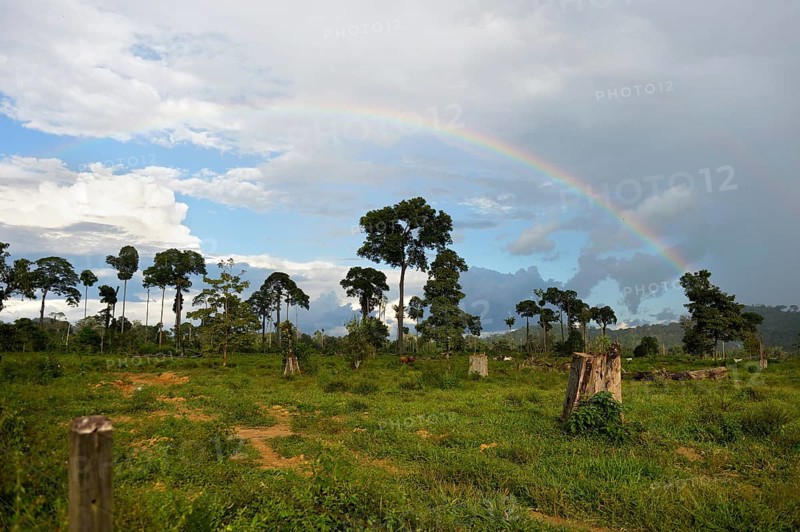 Deforested area in the rainforest for use as pasture with rainbow
