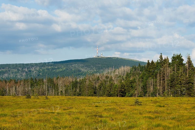 Torfhausmoor raised bog with view towards the Brocken mountain