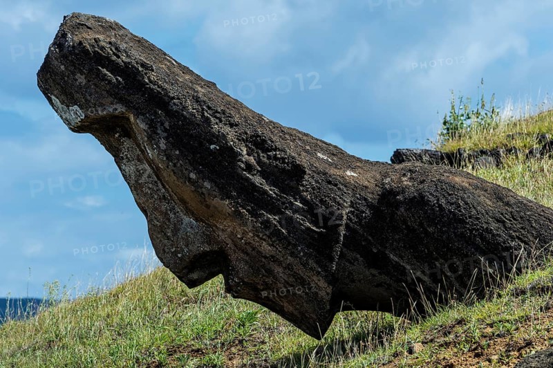 Moai in Rano Raraku