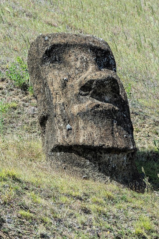 Moai in Rano Raraku