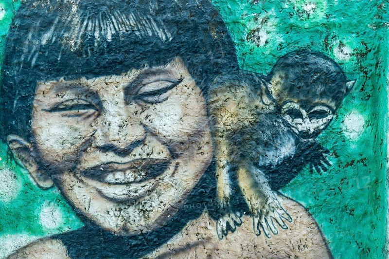 Boy with monkey