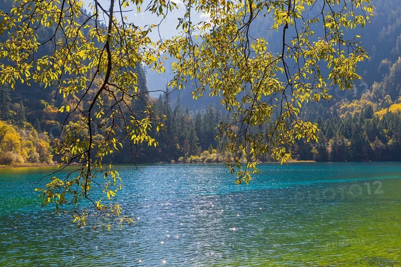 Colorful Lake