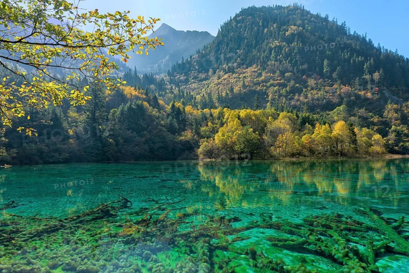 Colorful Lake