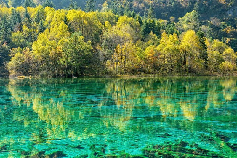 Colorful Lake