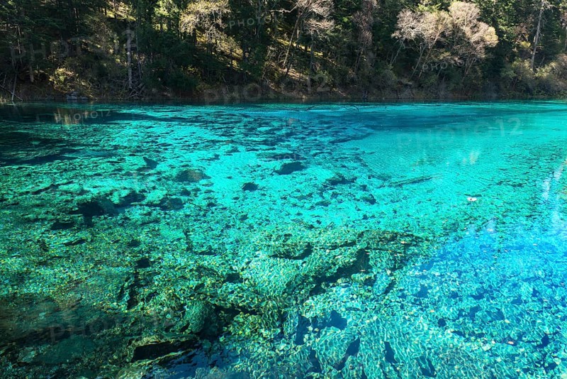 Five Color Pool or Pond