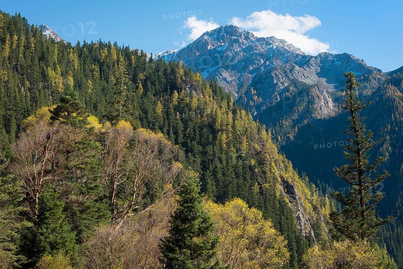 Mountain landscape