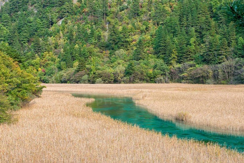 Reed Lake