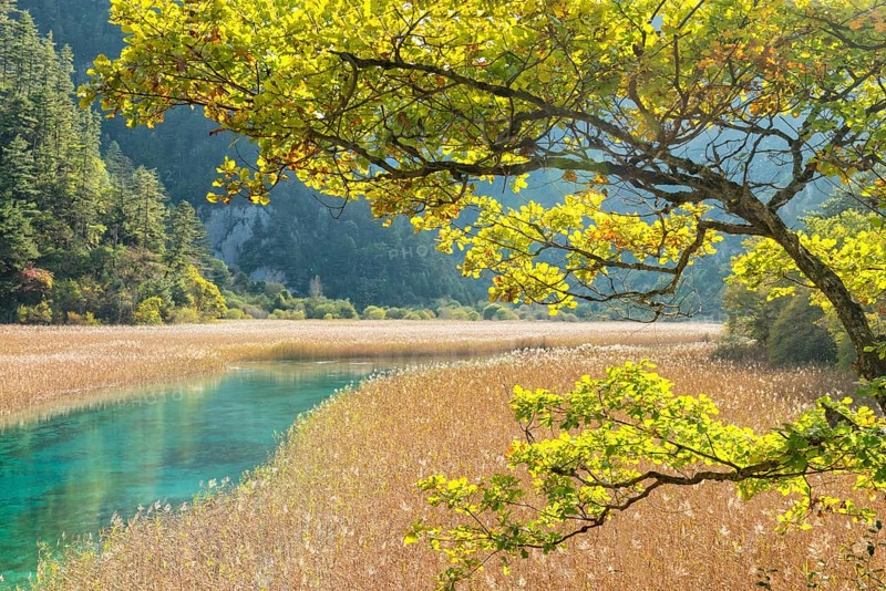 Reed Lake