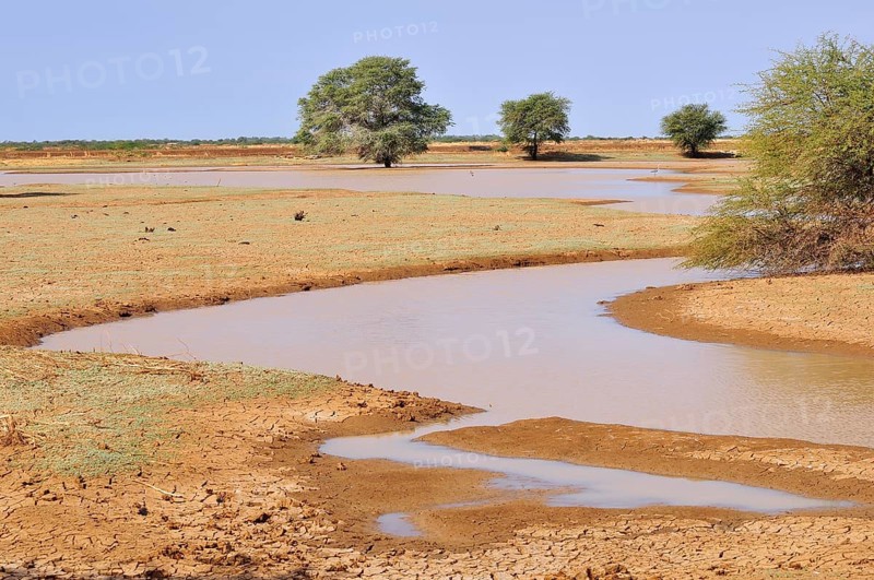 Small pond in the desert after rain