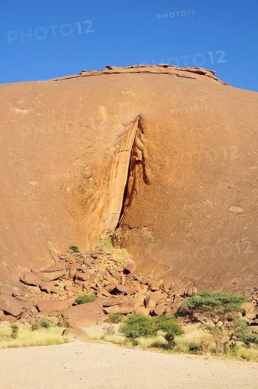 The labia of Aicha