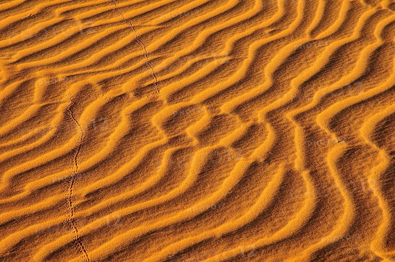 Sand ribs