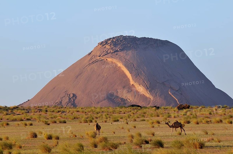 Camels in front of Ben Amira
