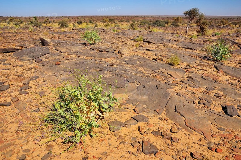 Rocky plateau