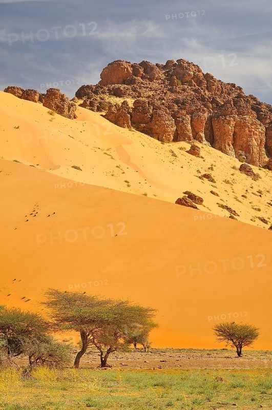 Hill almost fully covered with sand from a sand dune