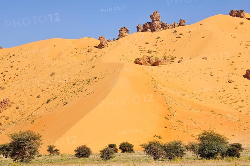 Hill almost fully covered with sand from a sand dune