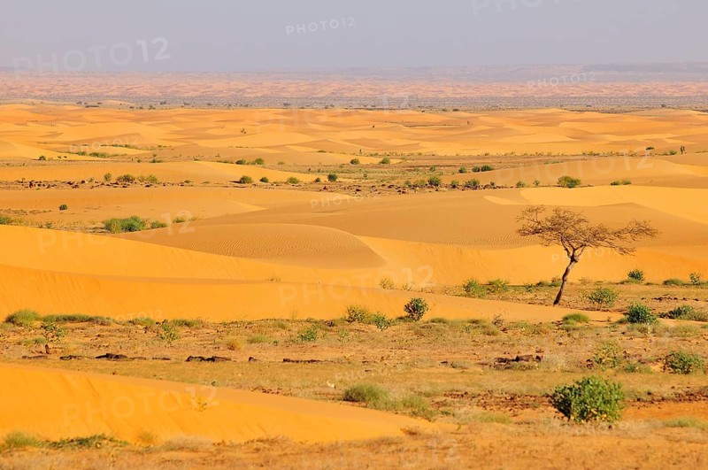 Desert landscape with sand dunes