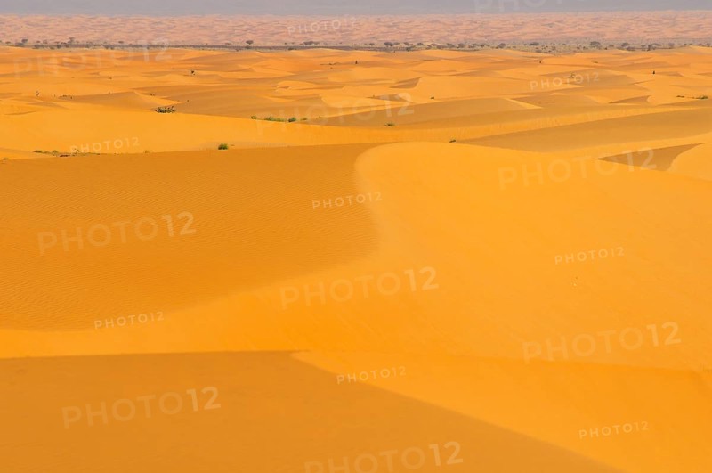 Desert landscape with sand dunes