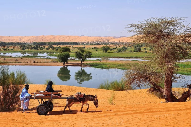 Donkey cart being pushed through the soft sand