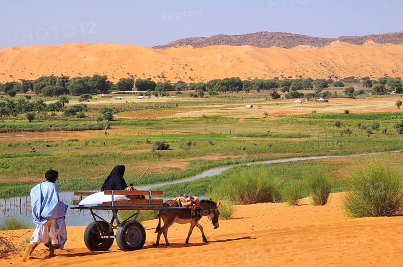 Donkey cart being pushed through the soft sand