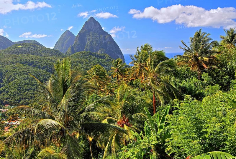 Tropical landscape with the two Pitons
