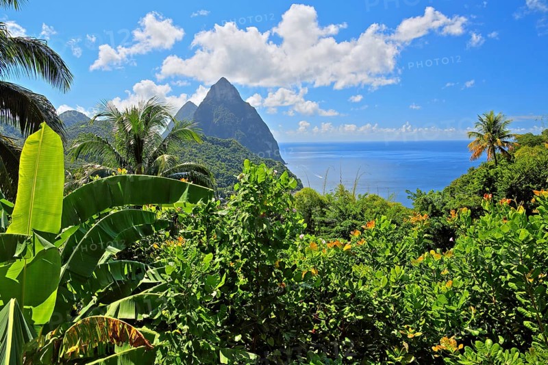 Tropical landscape with the two Pitons