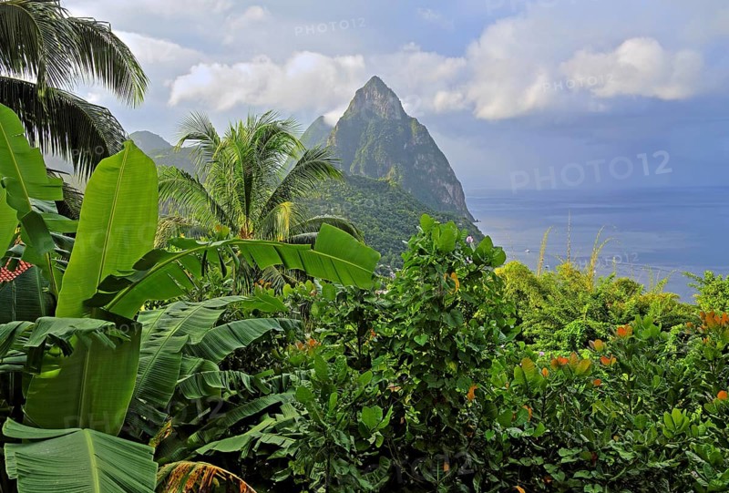 Tropical landscape with the two Pitons