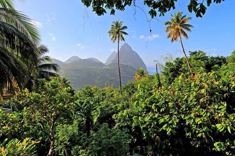 Tropical landscape with the two Pitons