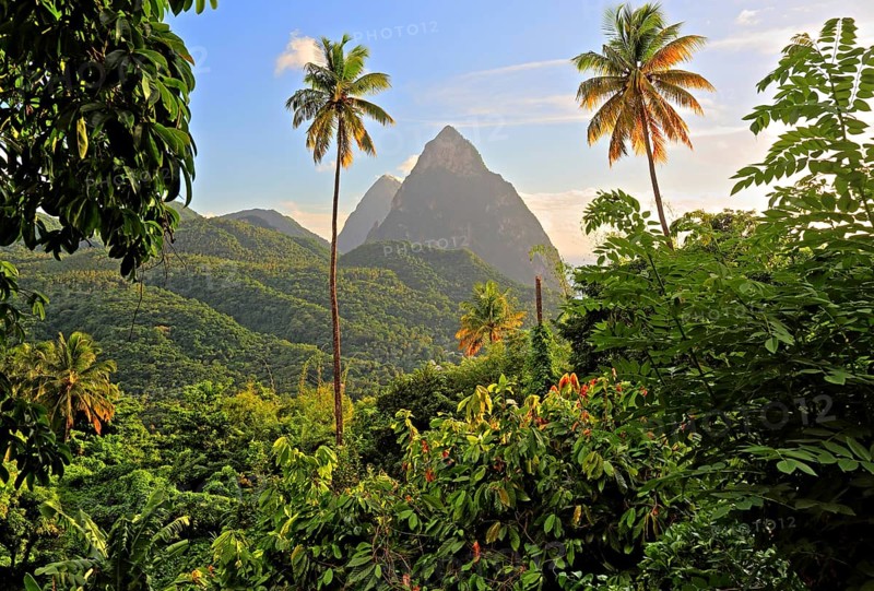 Tropical landscape with the two Pitons