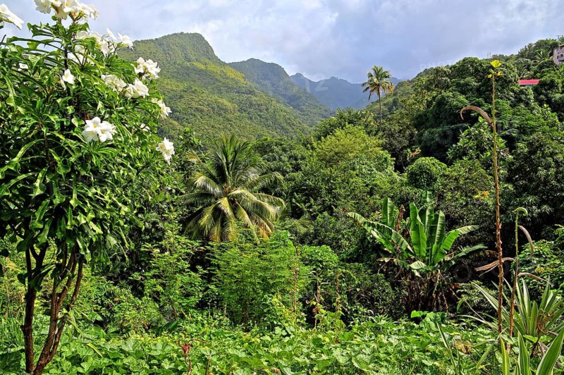 Tropical mountain scenery near the fishing village of Canaries