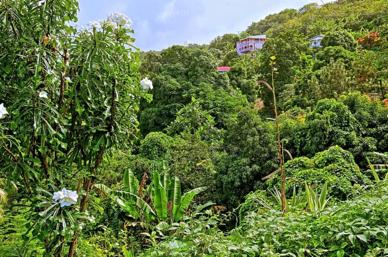 Tropical landscape near the fishing village of Canaries