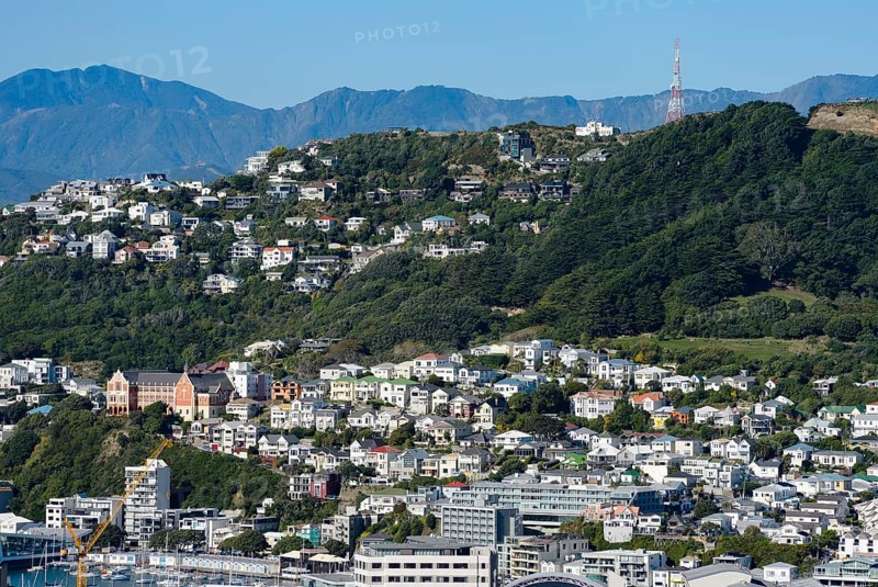 Oriental Bay suburb