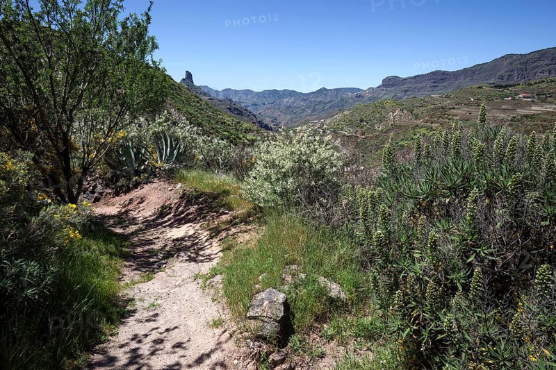 Hiking trail below the Roque Nublo