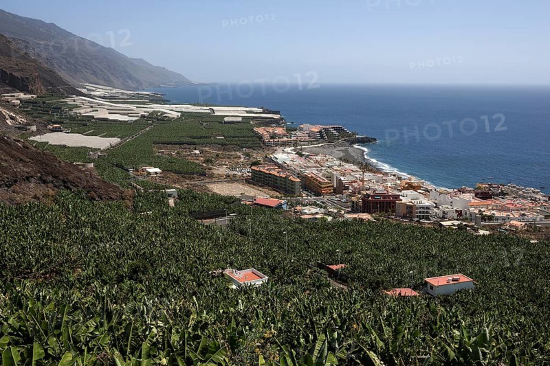 View onto banana plantations and Puerto Naos