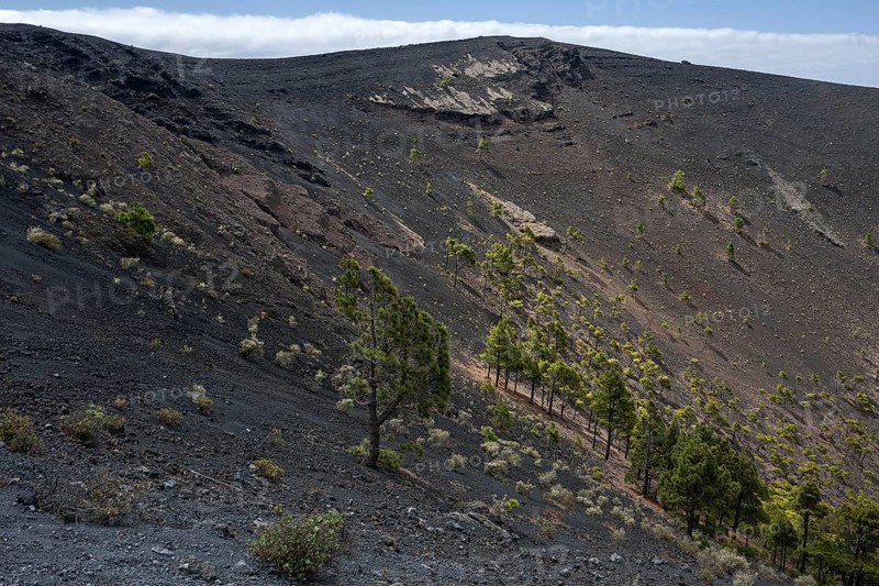 Crater of the volcano de San Antonio