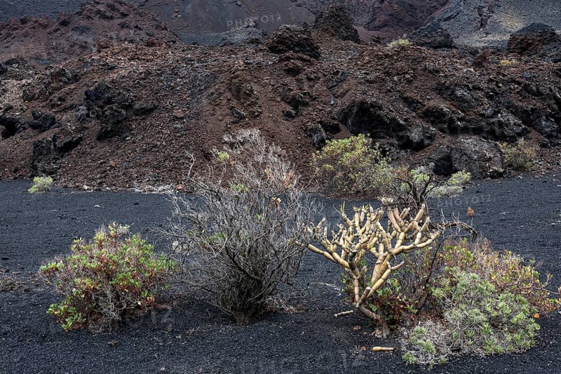 Volcanic landscape