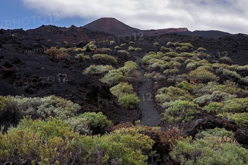 Track through the volcanic landscape with typical vegetation