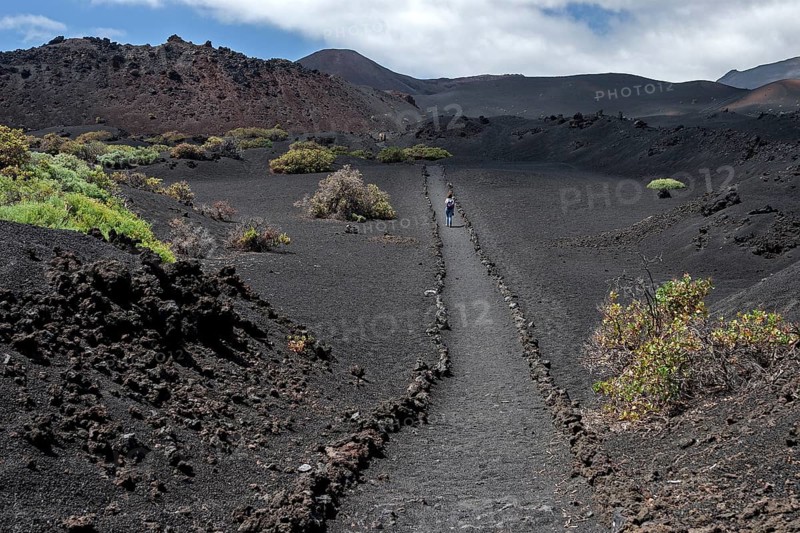 Track through the volcanic landscape with typical vegetation
