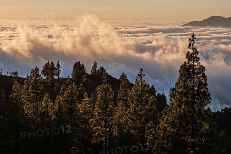 View onto Passat clouds above the Valle Aridane